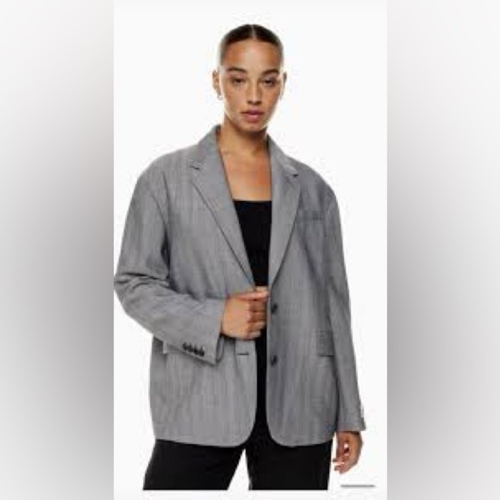 Aritzia Babaton Vogue Blazer